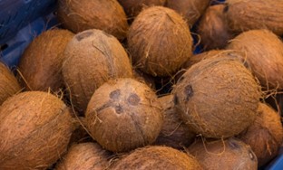 FG Targets $250 Million Coconut Revenue Growth