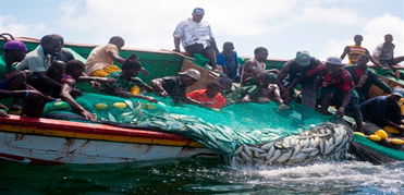 Togo Resumes Small-Scale Fishing After Seasonal Pause