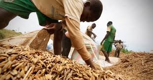 Ivory Coast Signs Major Agricultural Investment Deal