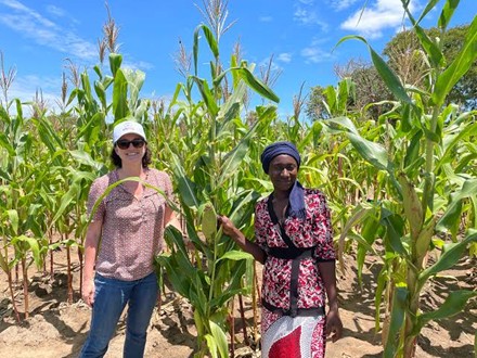 Zambia Adapts to Post-USAID Agricultural Reality