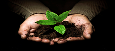 Togo Gets €22.5M Boost for Green Strategy