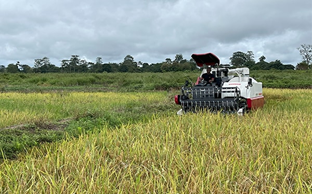 Côte d’Ivoire, Italy Seal $156m Farm Deal