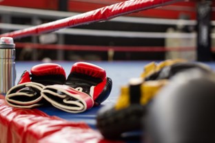 Boxing stars storm Nigeria for October 1 show.