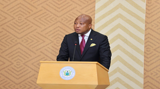 Free Visas for Diaspora Summit 2025