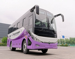 Nagodé Expands Transport Fleet