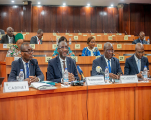 Ivorian Senate Advances Development Plan