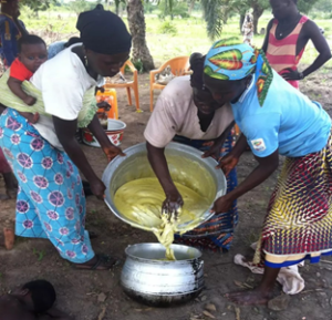 Togo Strengthens Shea Sector