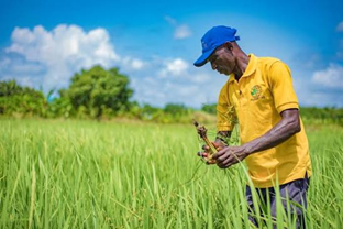 Agriculture Project Expands Opportunities