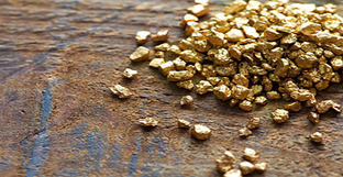 Gold Exploration Activities Expand