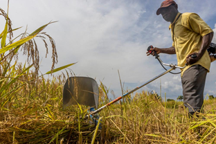 IFAD Backs Agricultural Program Implementation