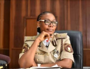 NIS Pushes Secure African Borderlands